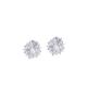 Diamond Earrings 21B058