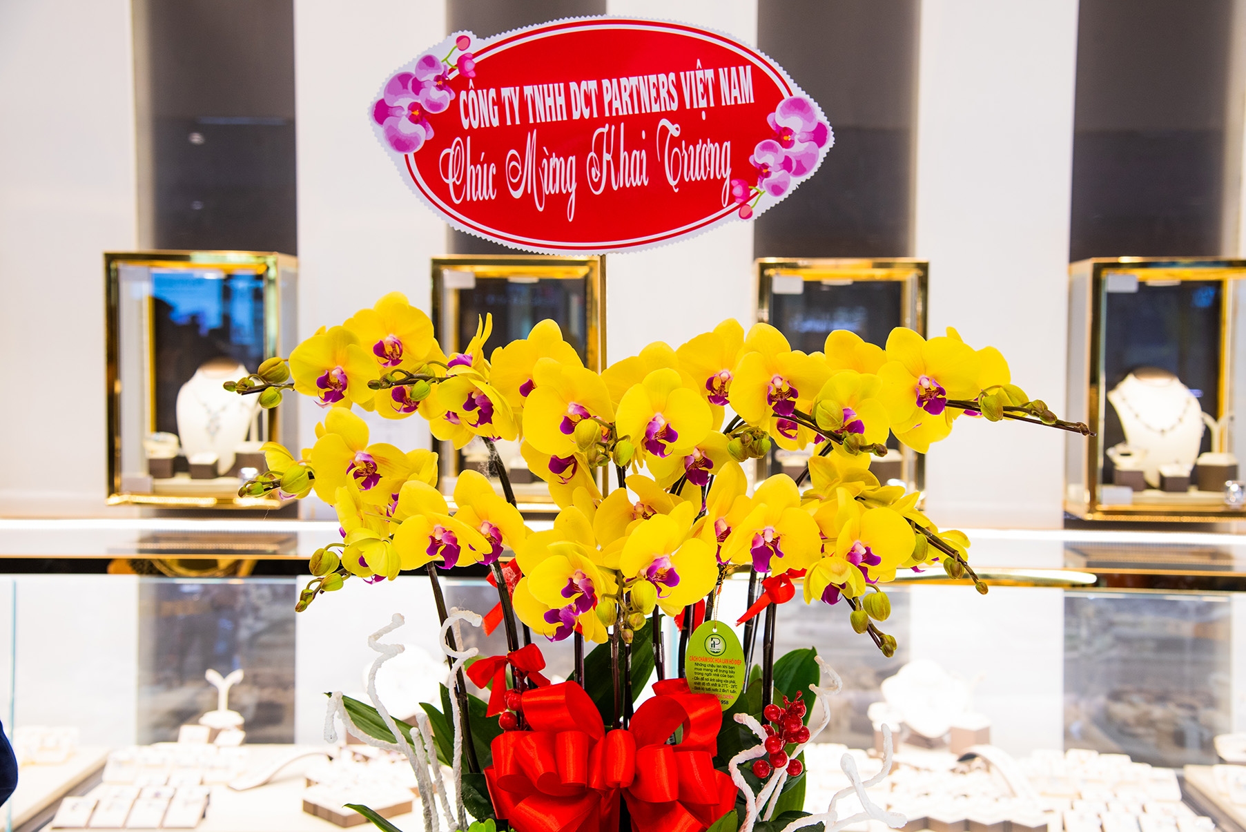 ijc tung bung khai truong showroom tai gigamal pham van dong 47