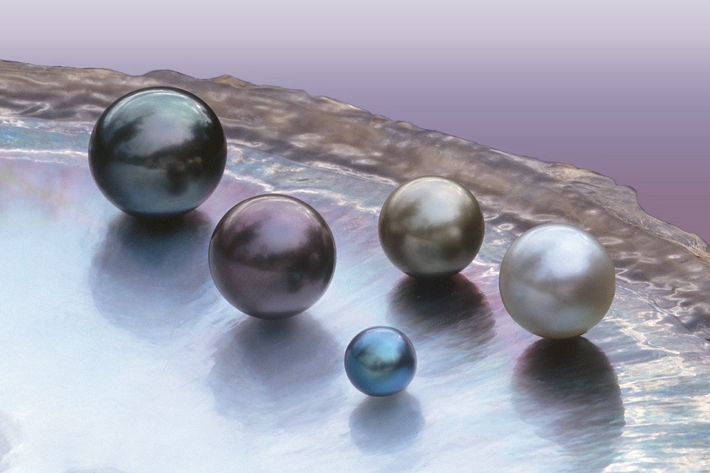 ngọc trai tự nhiên