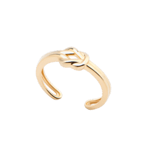 Nhẫn trơn 23N118 10 nhan tron 23N118