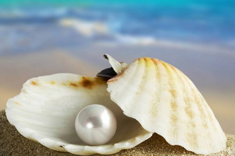 NHỮNG ĐIỀU CẦN CHÚ Ý CỦA ĐÁ QUÝ THIÊN NHIÊN OPAL VÀ NGỌC TRAI